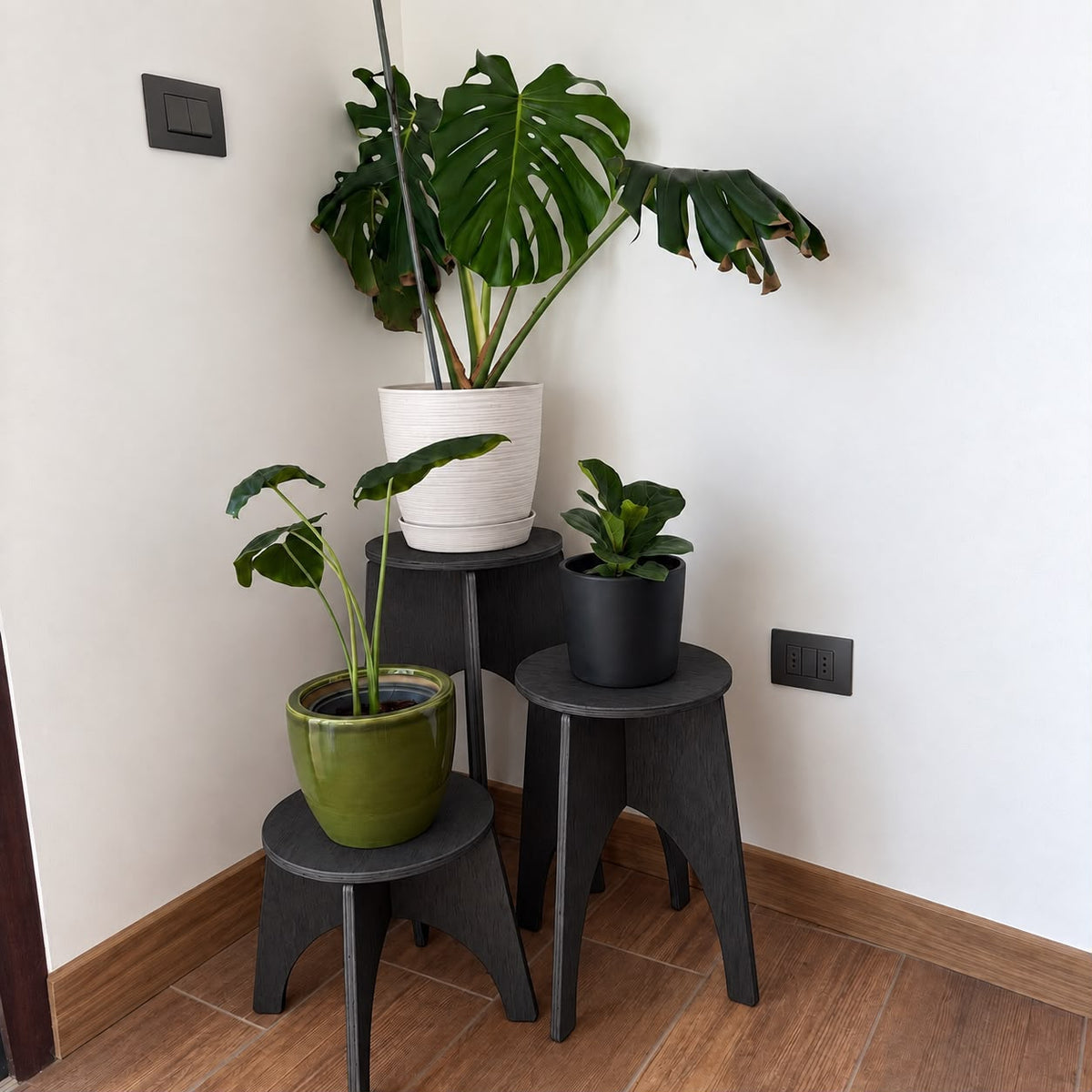 Arco L
