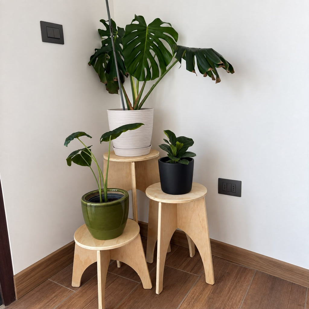 ARCO S